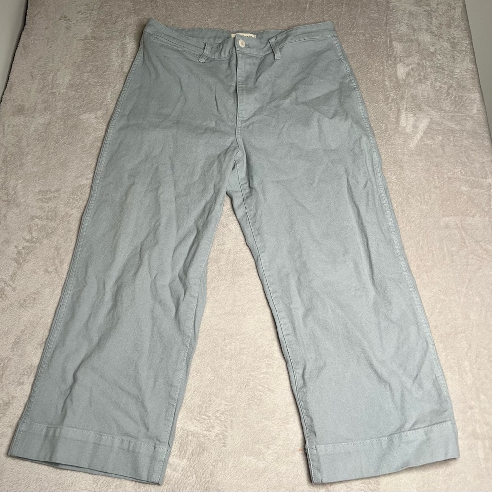 Madewell Pants Women's 32 Slim‎ Emmett Wide-Leg Crop Office Casual Gray L7641